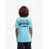 CAMISETA QUIKSILVER PALM HORIZ