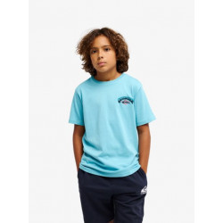 CAMISETA QUIKSILVER PALM HORIZ
