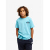CAMISETA QUIKSILVER PALM HORIZ