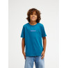 CAMISETA QUIKSILVER RAYS