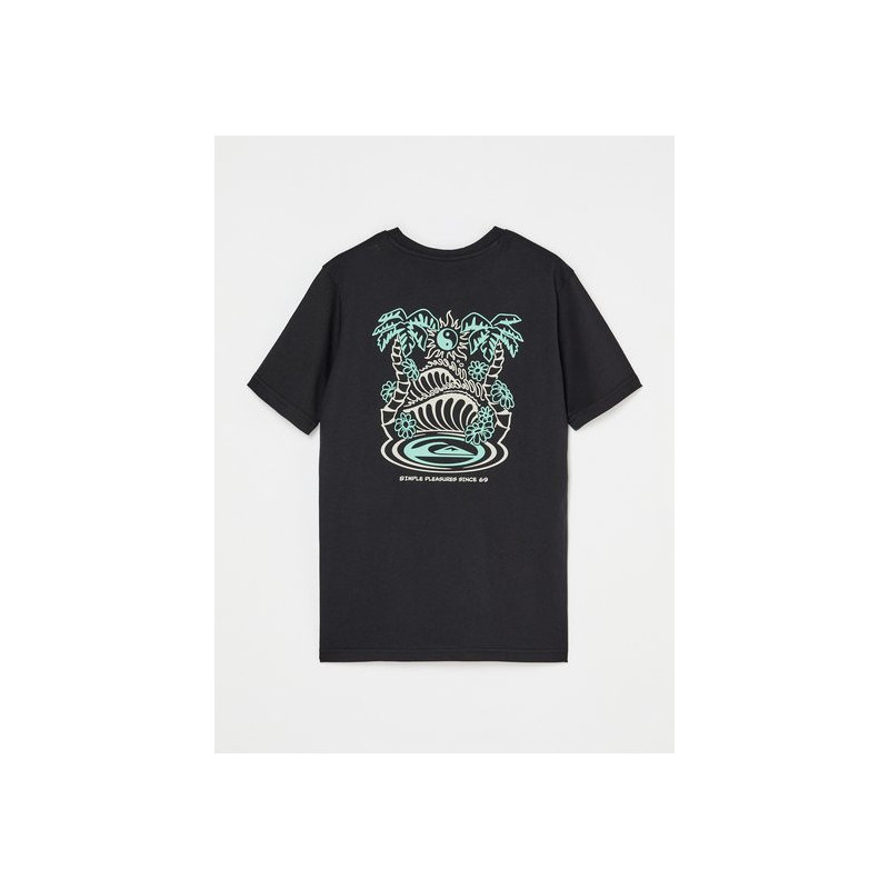 CAMISETA QUIKSILVER FUSION