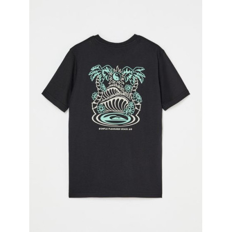 CAMISETA QUIKSILVER FUSION