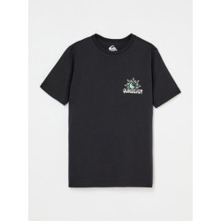 CAMISETA QUIKSILVER FUSION
