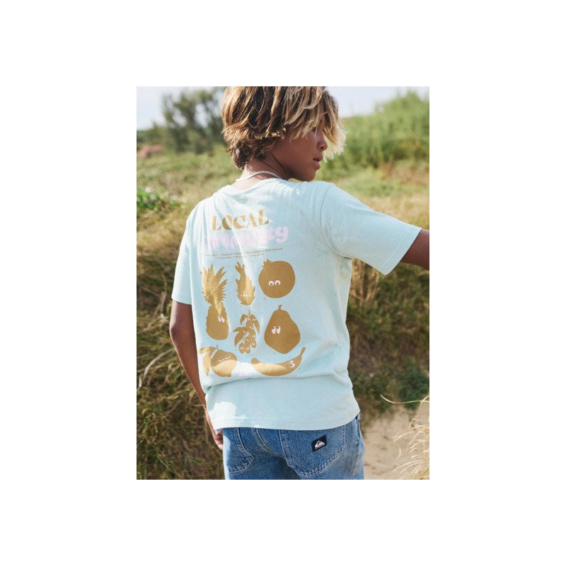 CAMISETA QUIKSILVER FRUITS TID
