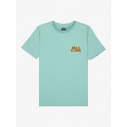 CAMISETA QUIKSILVER FRUITS TID