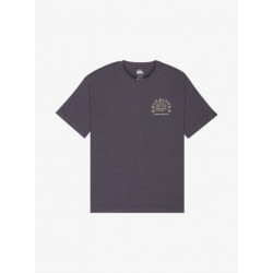 CAMISETA QUIKSILVER CURVE PALM