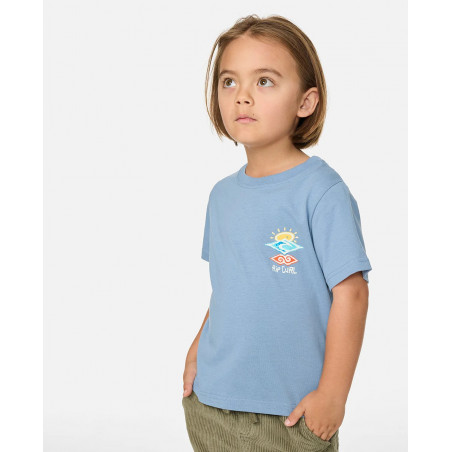 CAMISETA RIP CURL ICONS OF